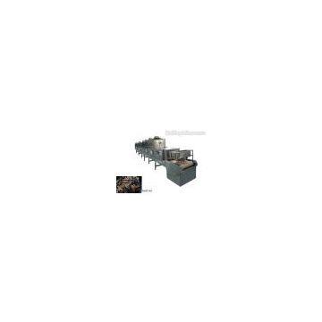 Microwave puffed and drying equipment for betel nut