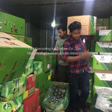 Fruits Cold Room