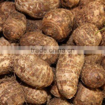 High Quality Fresh Taro Root photo-2