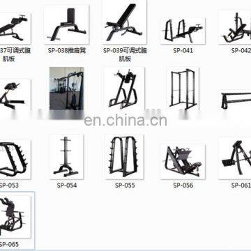 Professional Precor Gym Equipment Fitness Body Building Machine Lat Pull Down SP19