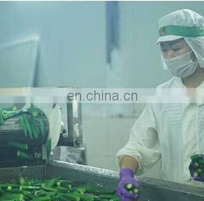 Sinocharm Canned Yellow Okra Canned Vegetable photo-5