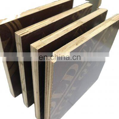 PP polypropylene plastic Film Faced Plywood Euca core with phenolic glue