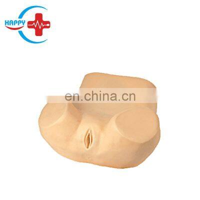 HC-S173 Gynaecological Vaginal posterior puncture model/Medical student used Puncture of posterior vaginal fornix training model