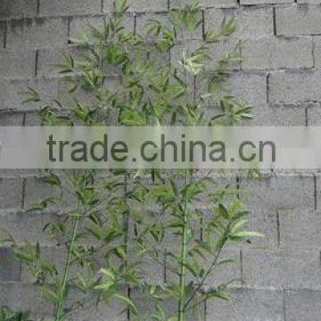 outdoor artificial bamboo artificial lucky bamboo