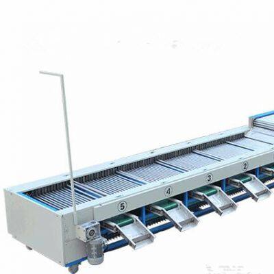 Jujube Sorting Machine Date Grading Machine