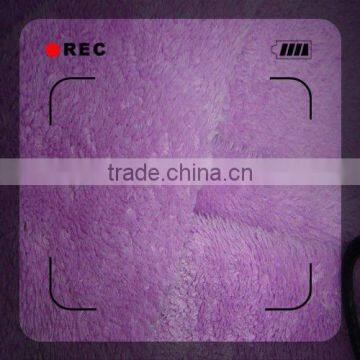 Wholesale Microfiber Coral Fleece Fabric in Roll for multi-functions