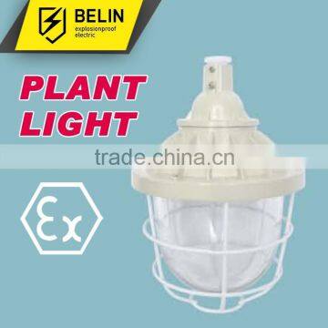 CCd-200 Explosion proof Light