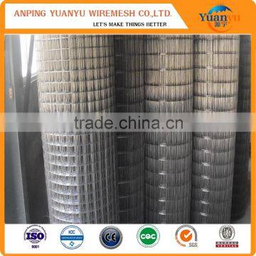 1/4 inch galvanized welded wire mesh