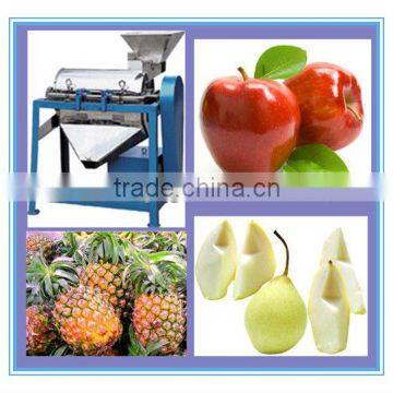 2013 best seller wide output range full stainless steel pineapple pulping machine