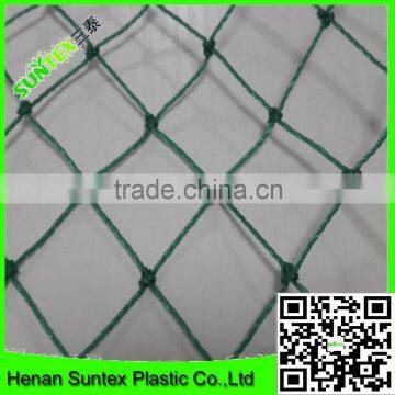 PE Plastic Anti Bird Netting/agricultural Anti Bird Net/cheap Bird Netting for Fruit Cover photo-5