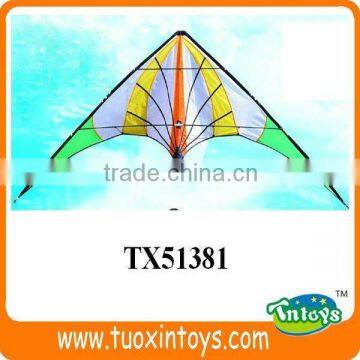 the Chinese Promotional Pocket Kite Factory photo-4