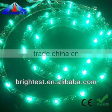 2013 HOT 5mm DIP LED Strip IP 68