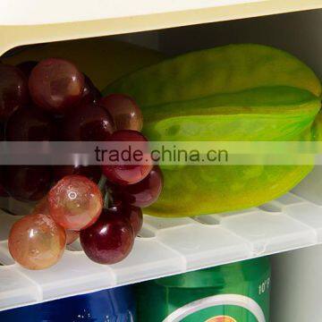 Fashionable Durable Trip Mini Car Refrigerator photo-6