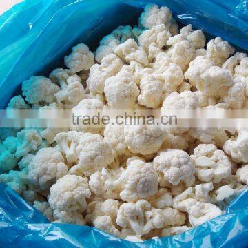 IQF frozen Cauliflower with best quality