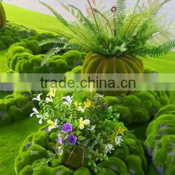 New Product Direct Manufacturer Types of Ornamental Plants Ornamental Plants for Wholesale&decoration