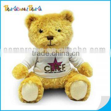 Plush Teddy Bear with cloth