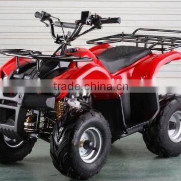 bulls 110cc ATV