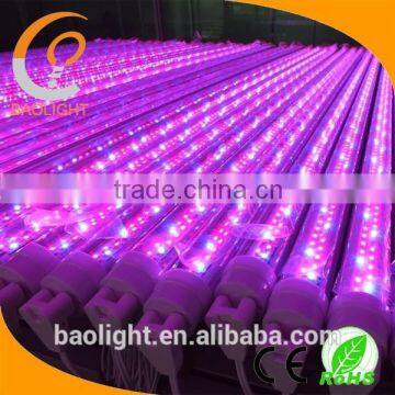 T8 red/blue led plant grow light tube 120cm/150cm/8feet