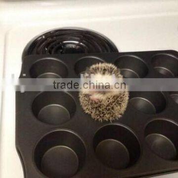 Food grade silicone cake pan and baking mold