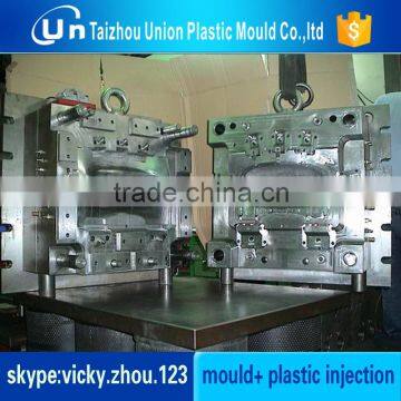 head light moulds professional plastic mold