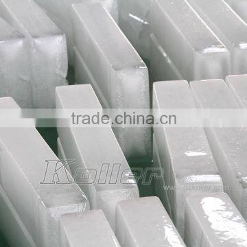 5 Tons Block Ice Making Plant Built in Container