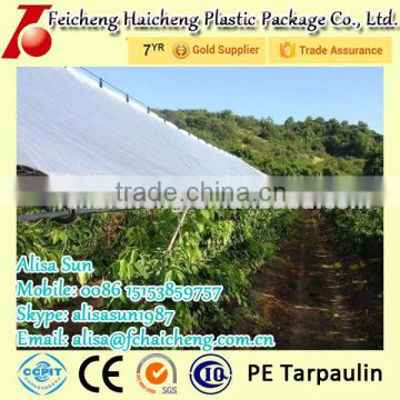 polyethylene tarpaulin with UV treatment