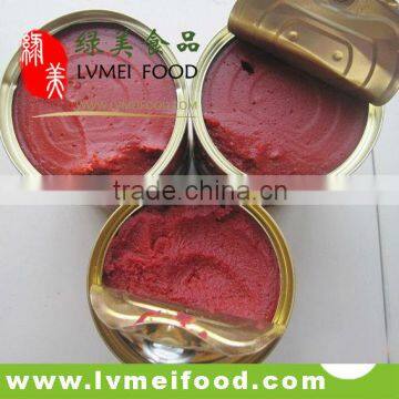 Tasty Canned tomato paste from China