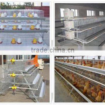 Zhenhua Chicken Breeding Cage/Chicken Layer Cages/ Laying Chicken Cages