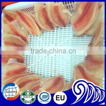 Bulk Tilapia Fillet With High Quality photo-5