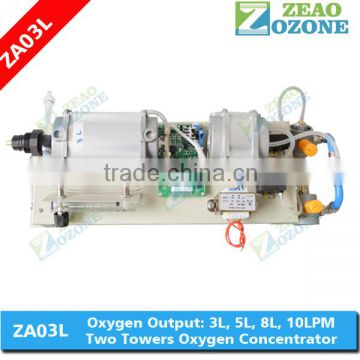 Replaceable 2 towers zeolite molecular sieve PSA oxygen concentrator