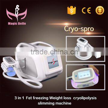 Fat Melting Micro Machine Body Shaping Freeze Machine 220 / 110V Fat Reduction Cryolipolysis Machine For Home Use