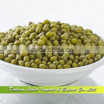 Vigna Beans Type Mung Bean Green Bean Price