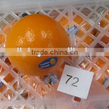 Fresh Navel oranges