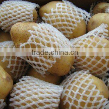 New Holland 7 Potato in China