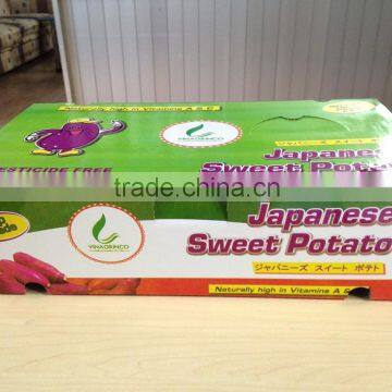 FRESH SWEET POTATO photo-2