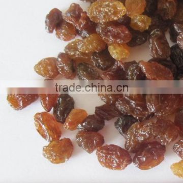 Raisins,Kington Fruit