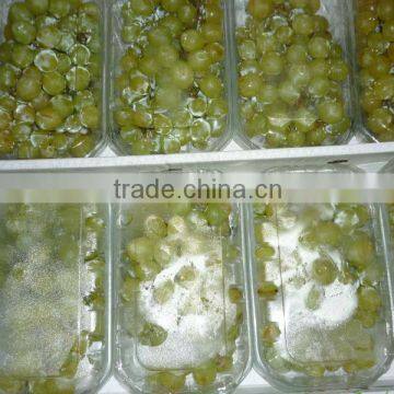 green Superior seedlees grapes