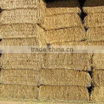 Straw Bale, Hay Straw Bale, Wheat Straw Hay, Wheat Straw Bale, Cattle Feed Hay
