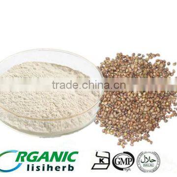 Factory wholesale 100% natrual protein powder hemp protein powder