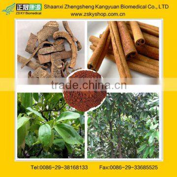 Cinnamon Bark Powder Extracts from GMP manufacturer