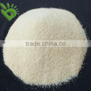 High Quality Granulated Garlic G2