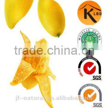 food grade mango Extract Beverage Powder factory Spray Dried Mango Powder