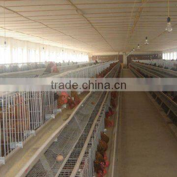 Battery breeder hen cages