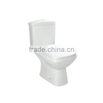 Floor mounted washdown flush ceramic WC