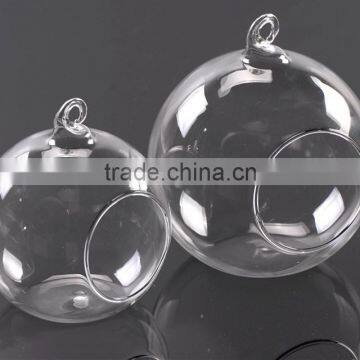 Clear Glass Vase Globe Glass Landscape Bottle Beautiful photo-3