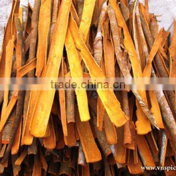 BEST OFFER FOR VIETNAM CASSIA/ CINNAMON BEST SPICES STANDARD CROP 2016 photo-4