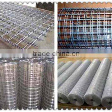 1x1 Galvanized Welded Wire Mesh photo-3
