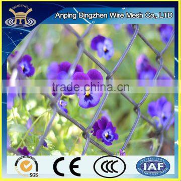 Chain Link Fabric Fencing For Plants Protection and Climbing