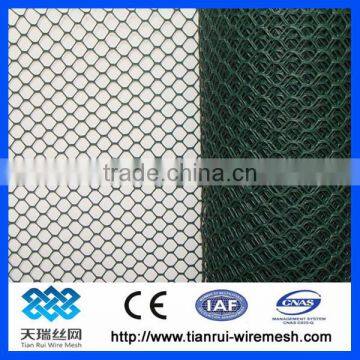PVC Coated Galvanized Hexagonal Wire Netting /hexagonal Wire Mesh photo-2
