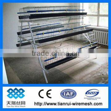 Hot Galvanized Automatic Chicken Cage for growing broilers and pullets